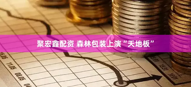 聚宏鑫配资 森林包装上演“天地板”
