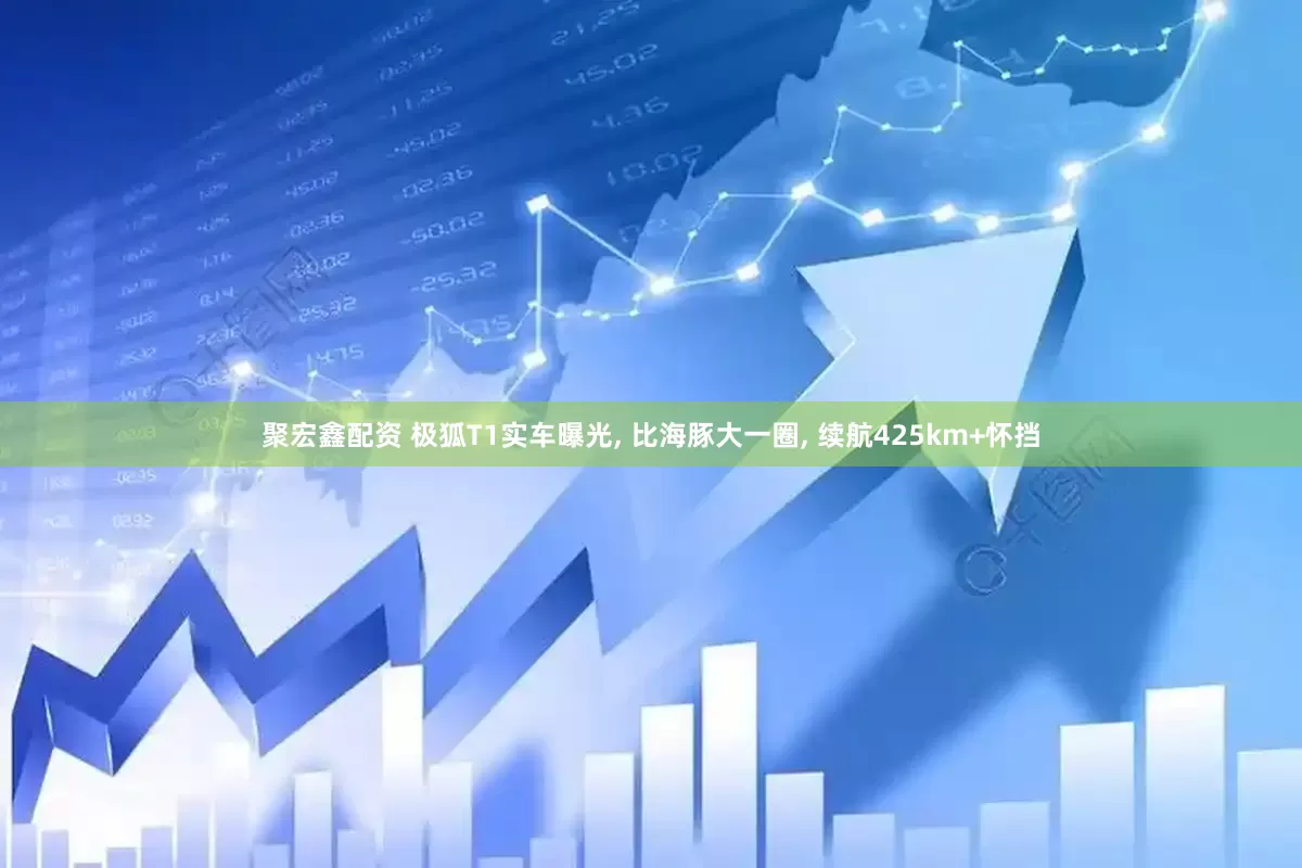 聚宏鑫配资 极狐T1实车曝光, 比海豚大一圈, 续航425km+怀挡