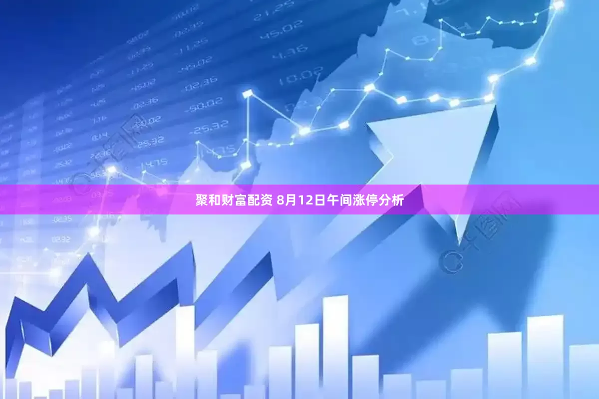 聚和财富配资 8月12日午间涨停分析